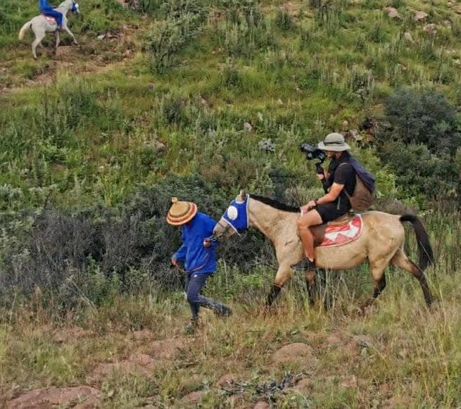 Horse Riding